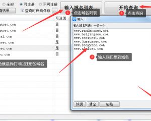 域名注册查询工具一键批量查询