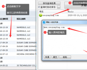 域名Whois查询 历史查询工具