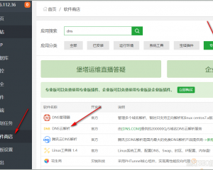 宝塔面板安装DNS云解析教程