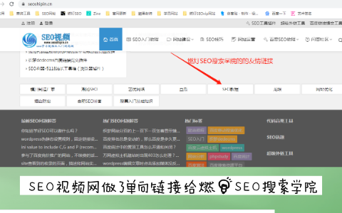 SEO视频网做了单向链接给燃灯SEO搜索学院展示图