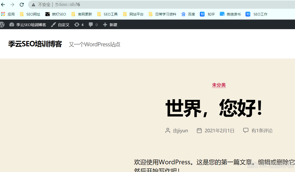 wordpress搭建成功后台首页界面