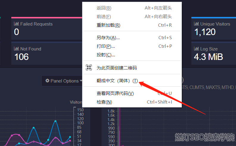 网站日志分析面板