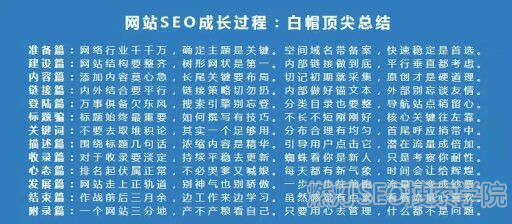 网站SEO成长过程顶尖总结