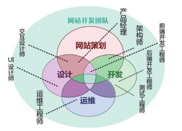 网站设计人员